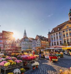 Wochenmarkt, Rathaus Coburg - Hotel Hahnmühle 1323